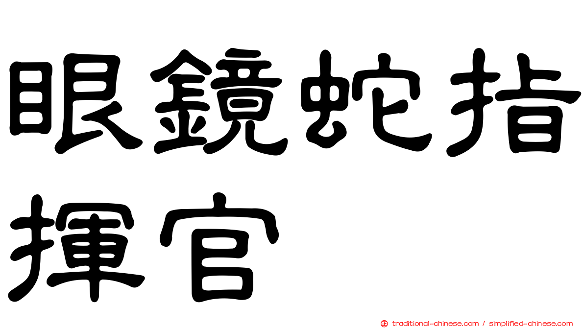 眼鏡蛇指揮官