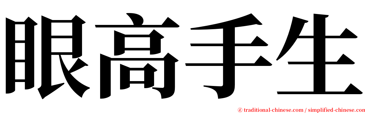 眼高手生 serif font