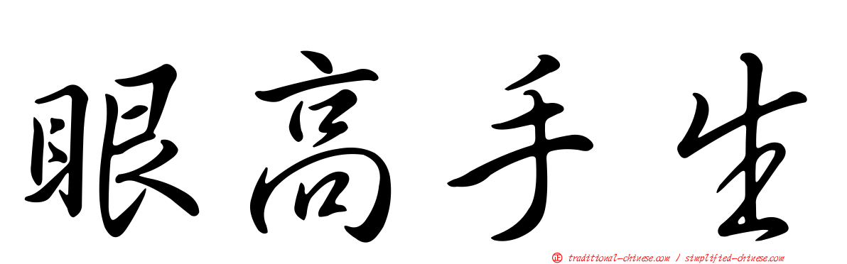 眼高手生