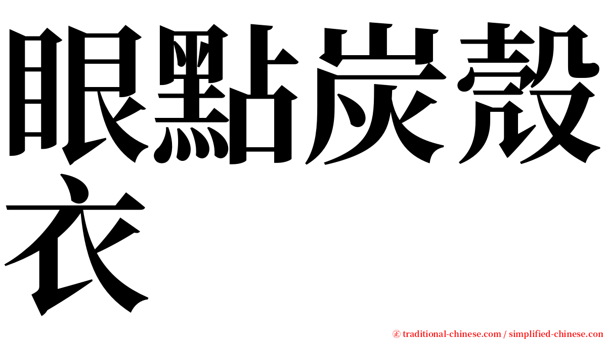 眼點炭殼衣 serif font