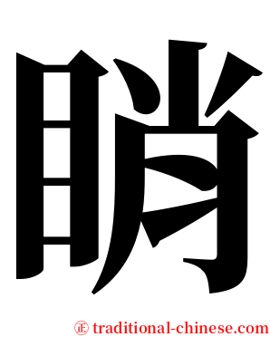 睄 serif font