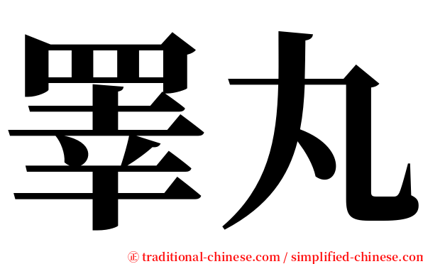 睪丸 serif font