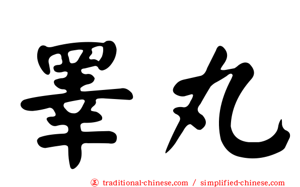 睪丸