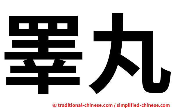 睪丸