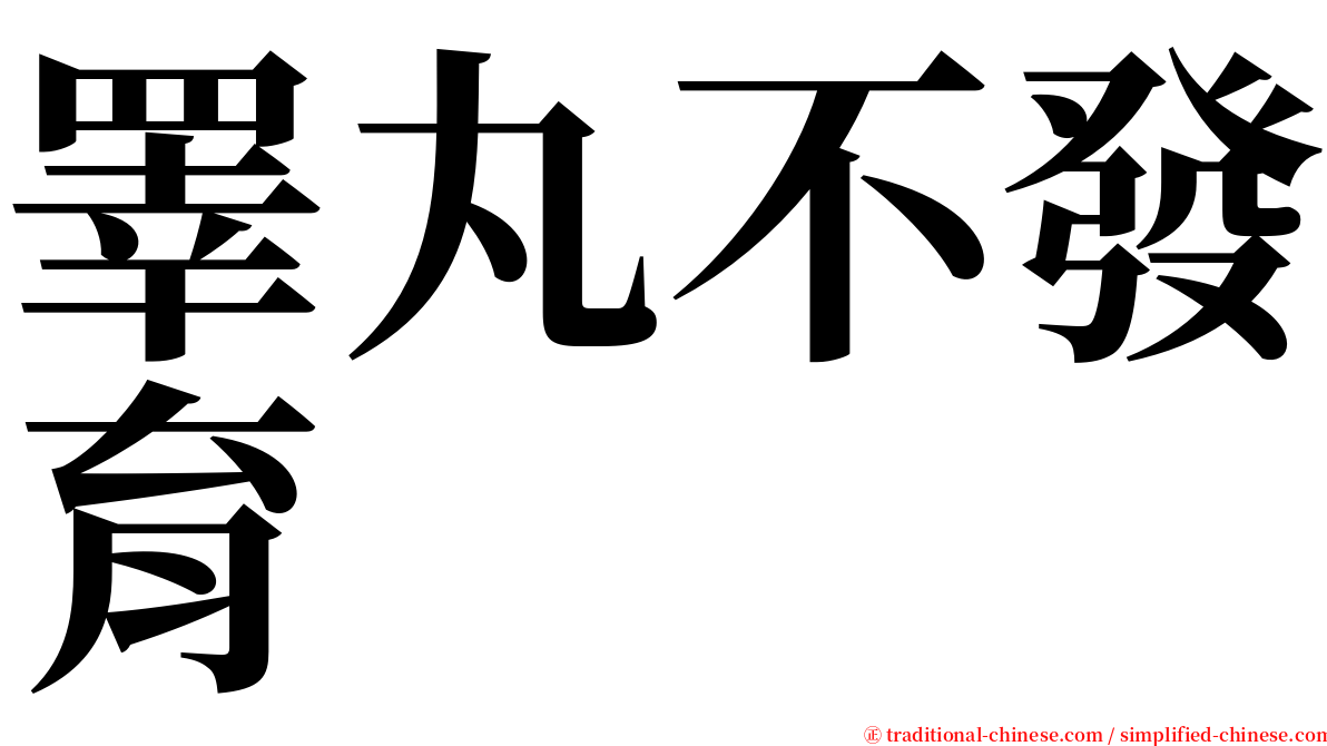 睪丸不發育 serif font