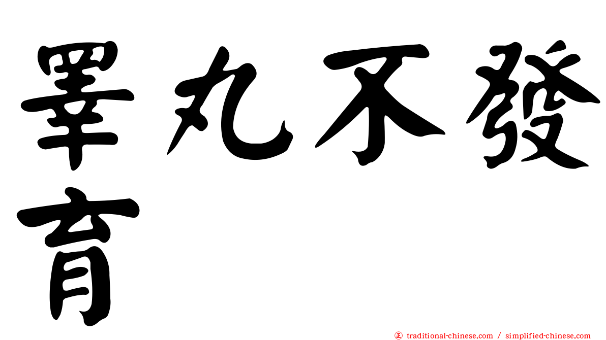 睪丸不發育