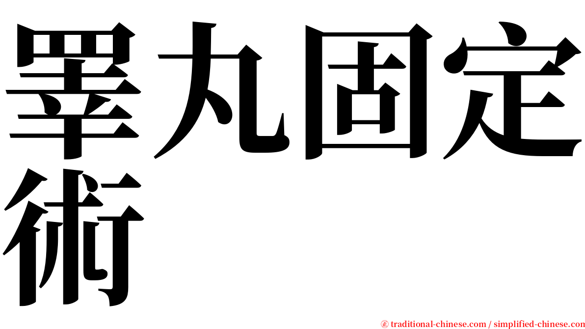 睪丸固定術 serif font