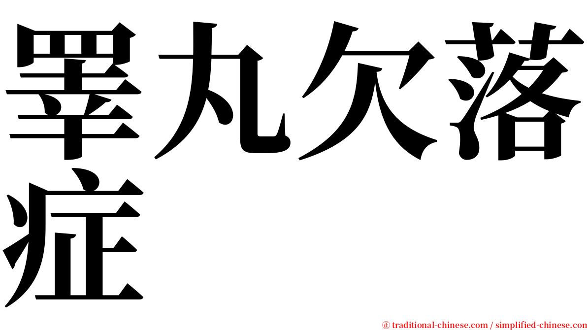 睪丸欠落症 serif font
