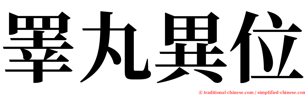 睪丸異位 serif font