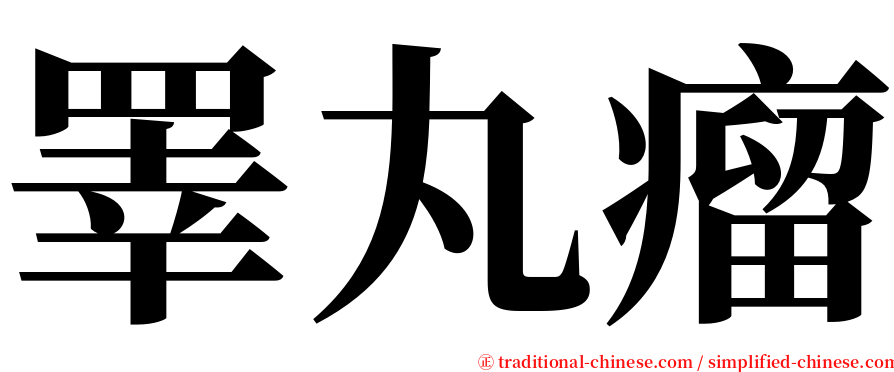 睪丸瘤 serif font