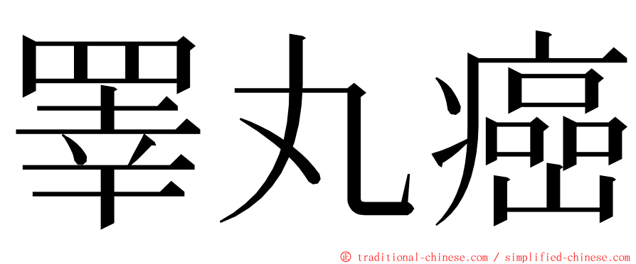 睪丸癌 ming font