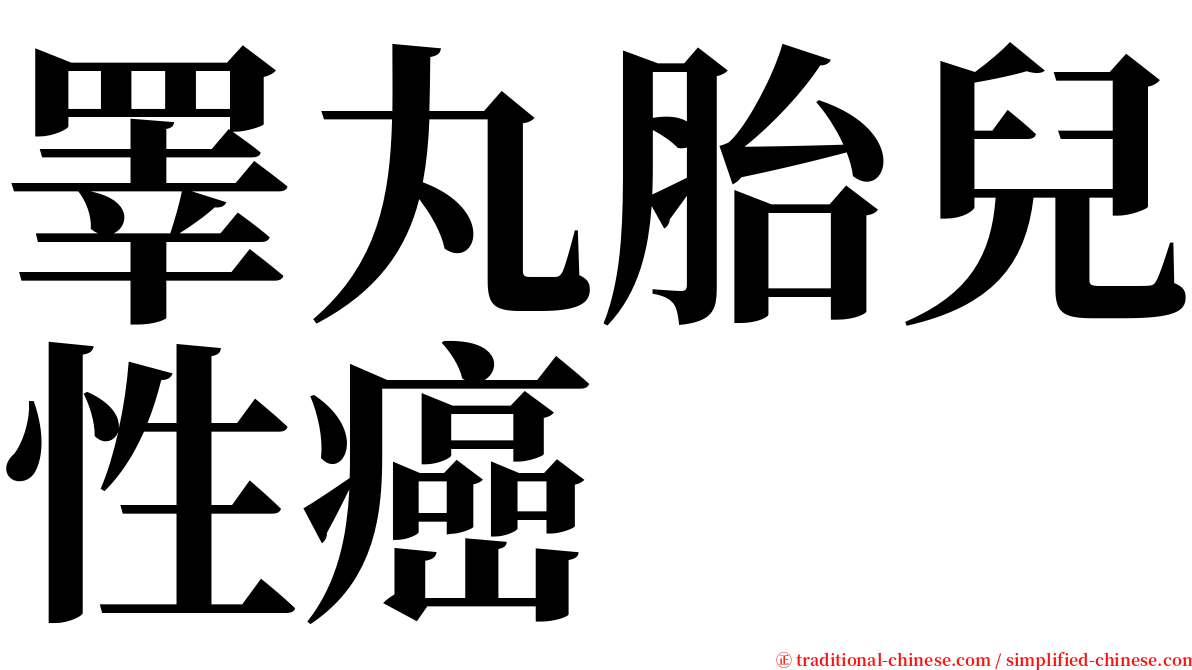 睪丸胎兒性癌 serif font