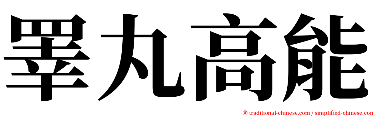 睪丸高能 serif font