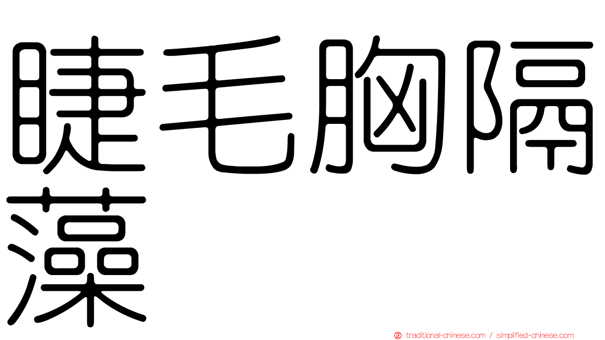 睫毛胸隔藻