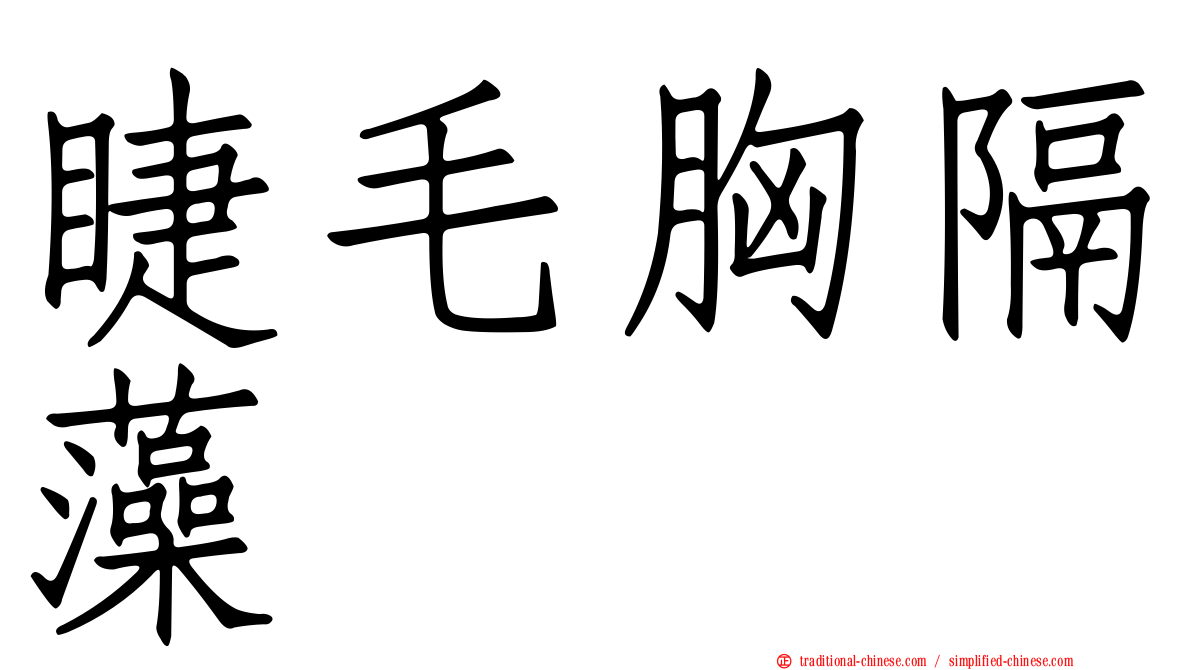 睫毛胸隔藻