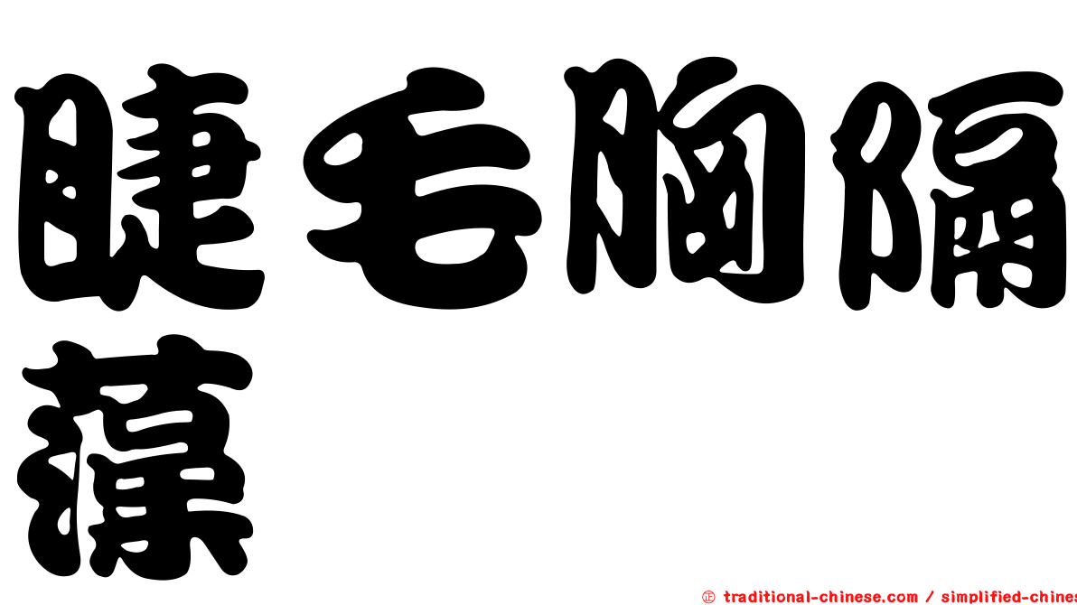 睫毛胸隔藻