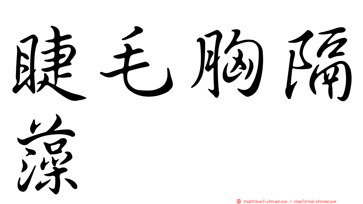 睫毛胸隔藻