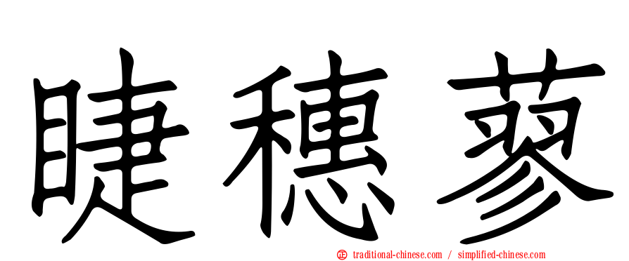 睫穗蓼
