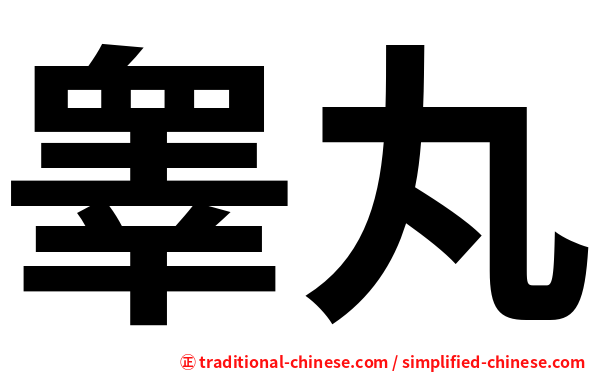 睾丸