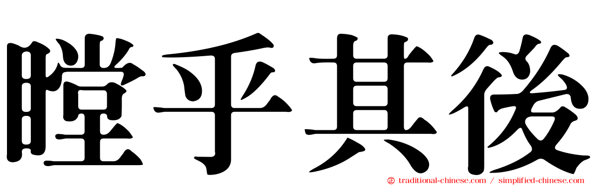 瞠乎其後