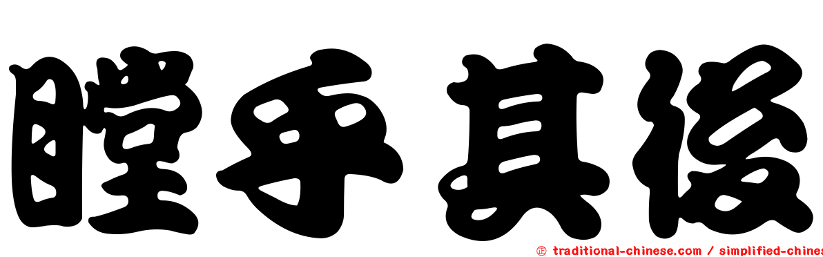 瞠乎其後