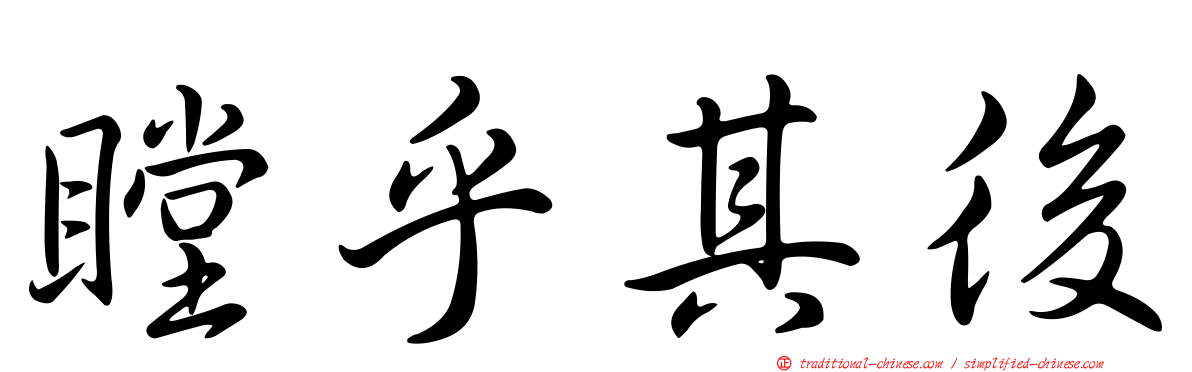 瞠乎其後