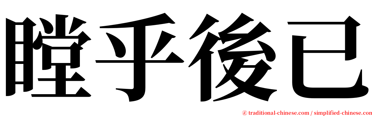 瞠乎後已 serif font
