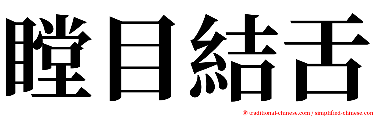 瞠目結舌 serif font