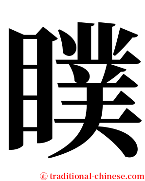 瞨 serif font