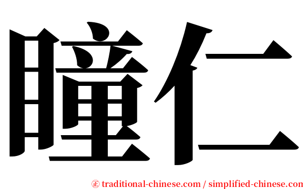 瞳仁 serif font