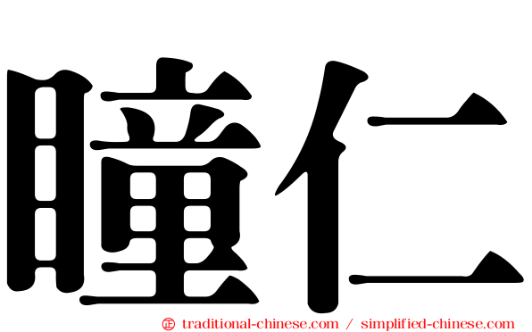 瞳仁