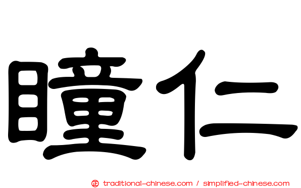 瞳仁