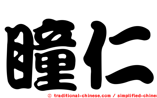 瞳仁