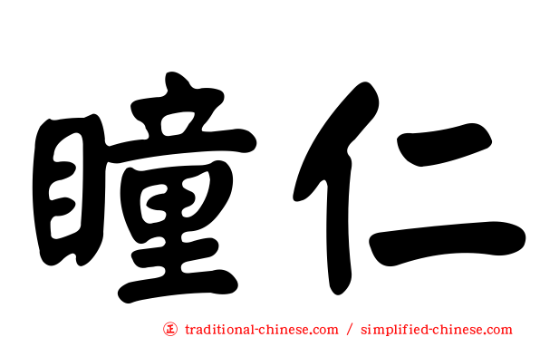 瞳仁