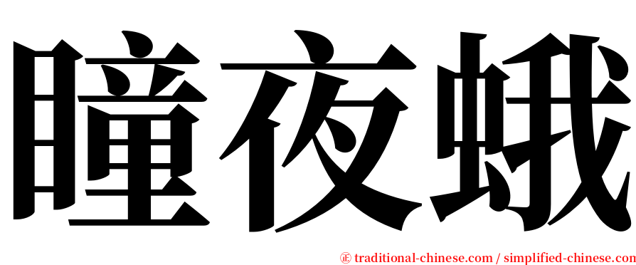 瞳夜蛾 serif font