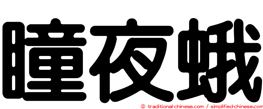 瞳夜蛾