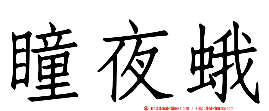 瞳夜蛾