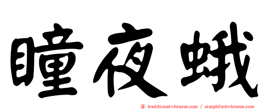 瞳夜蛾