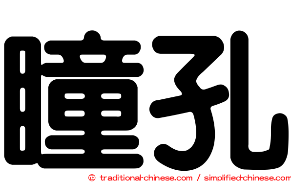 瞳孔