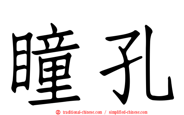 瞳孔
