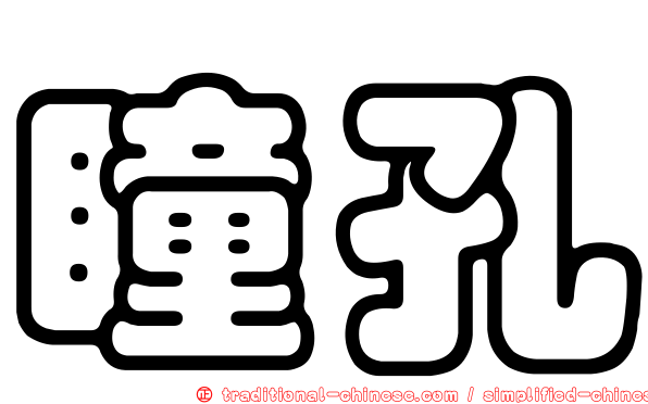 瞳孔