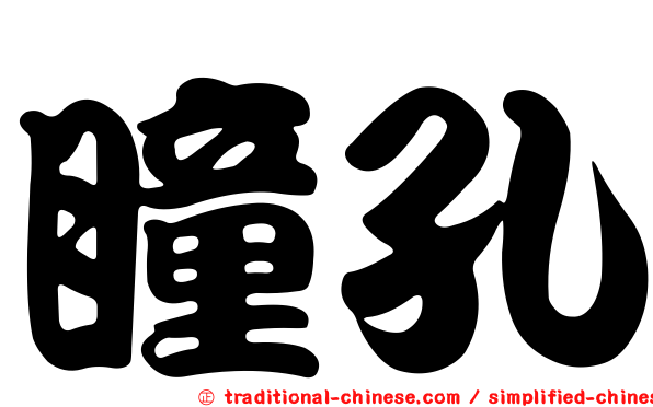 瞳孔