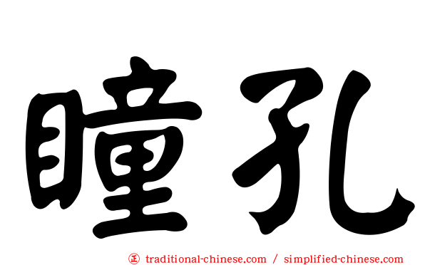瞳孔