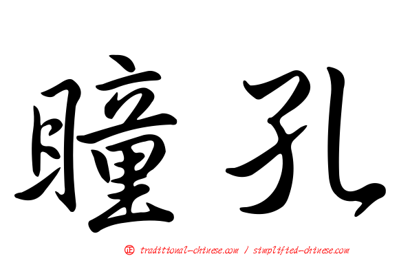瞳孔