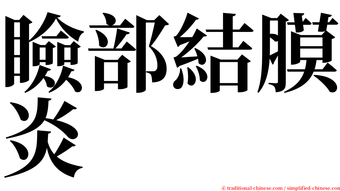 瞼部結膜炎 serif font