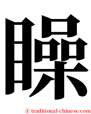 矂 serif font