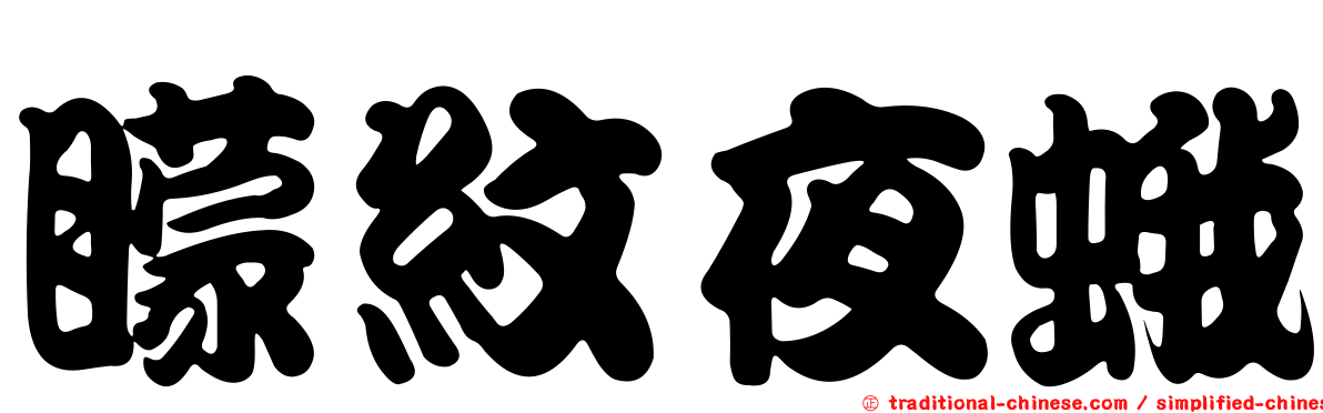 矇紋夜蛾
