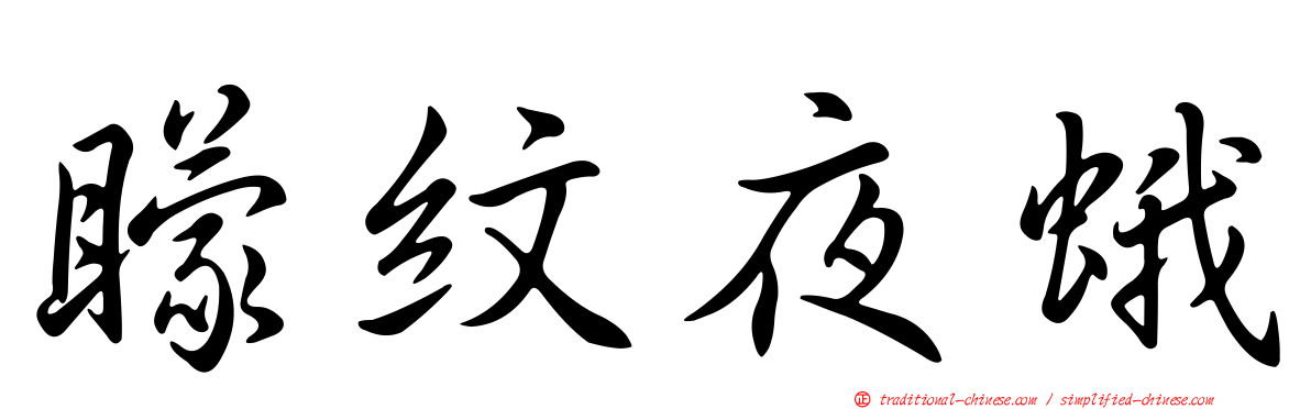 矇紋夜蛾