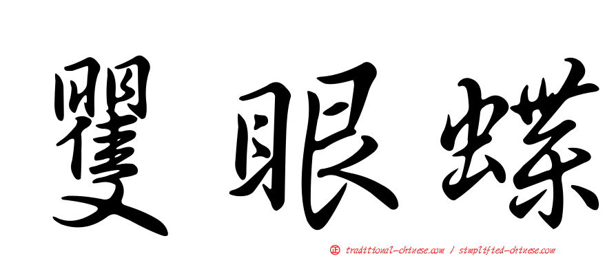 矍眼蝶