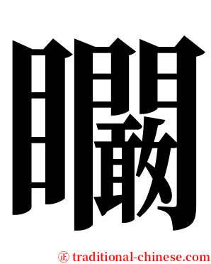 矙 serif font